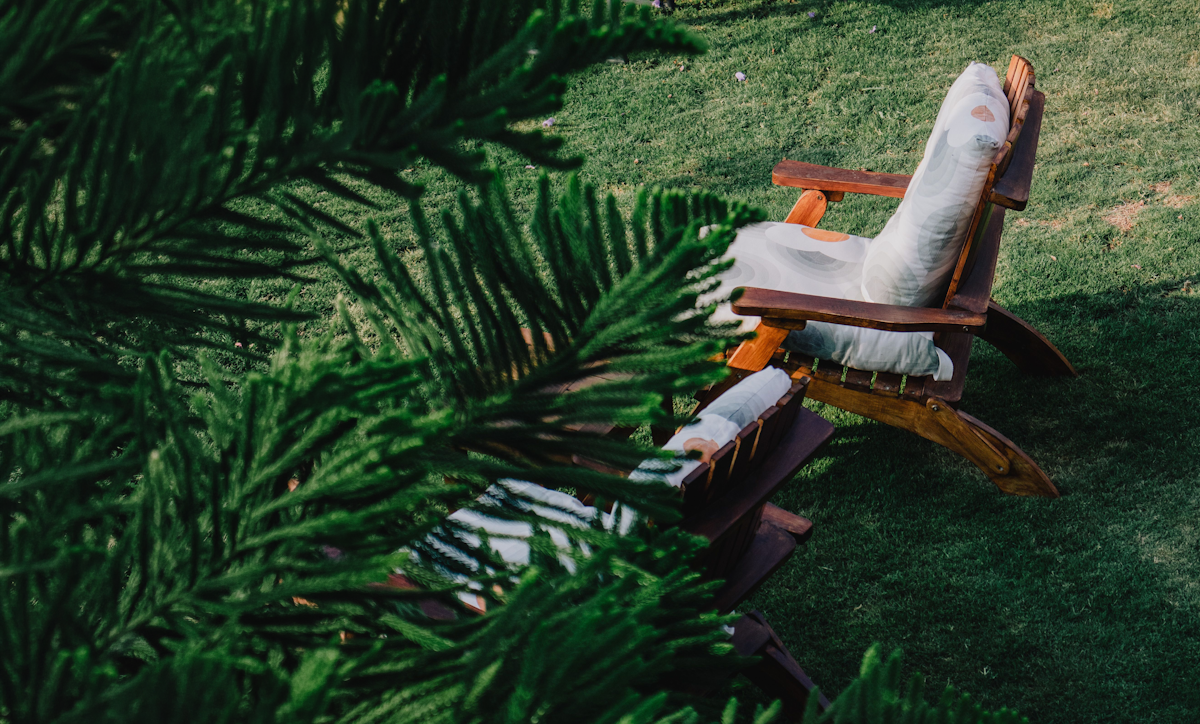 Seasonal lawn mowing: Your DIY Guide