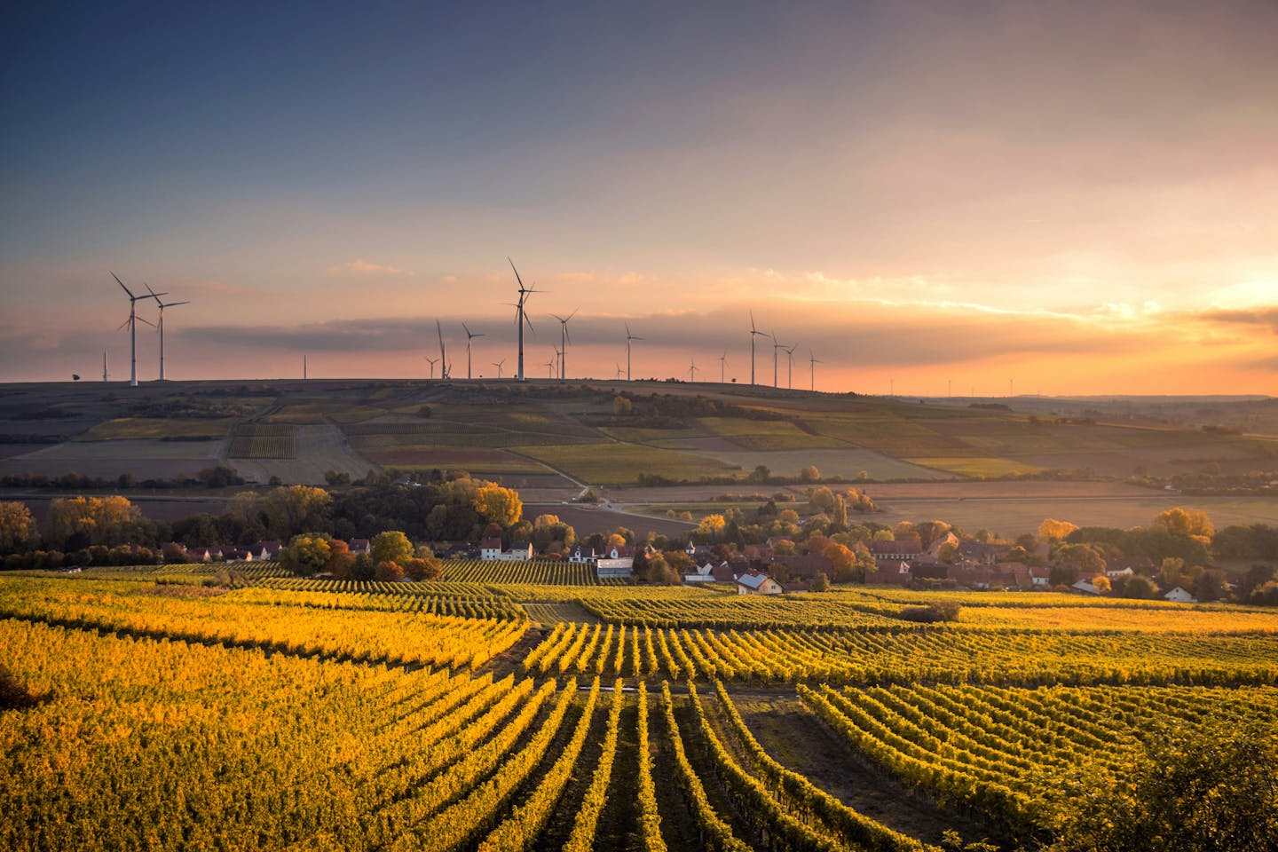 21 Invest to acquire Kali Environnement