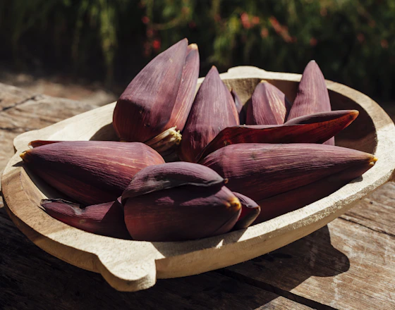 História da Alimentação no Brasil: Episódio 3 - O Caso das Bananas
