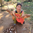 Jerá Guarani