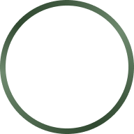 color icon