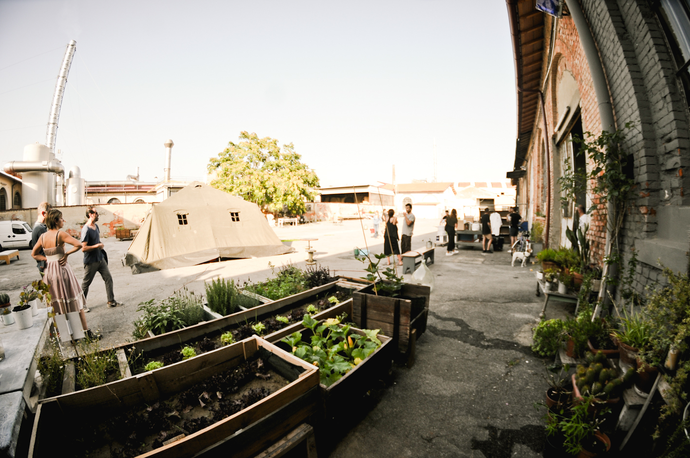 orto in fabbrica sc17