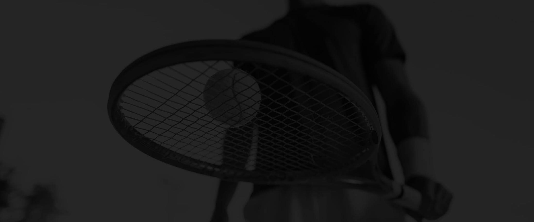 Banner media