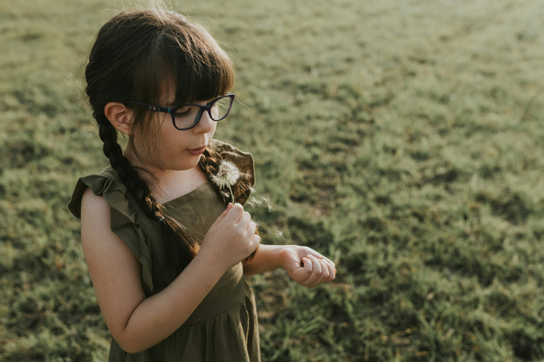 Girl with braids holding a dandelion in the field during a family session