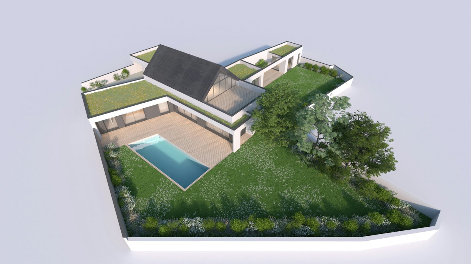 projet NBT