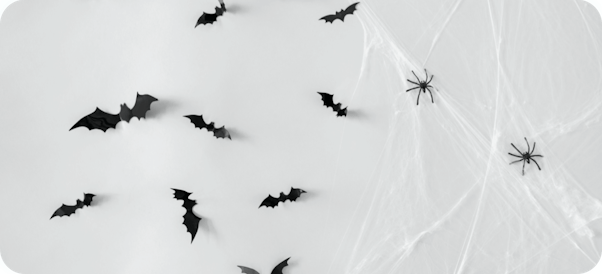 Halloween decorations of bats and spiders on fake cobwebs