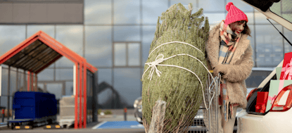 Free Christmas trees at Tesco – find out how to get yours
