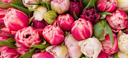 Now's the best time to buy your Valentine's Day flowers - how to save on your bouquet