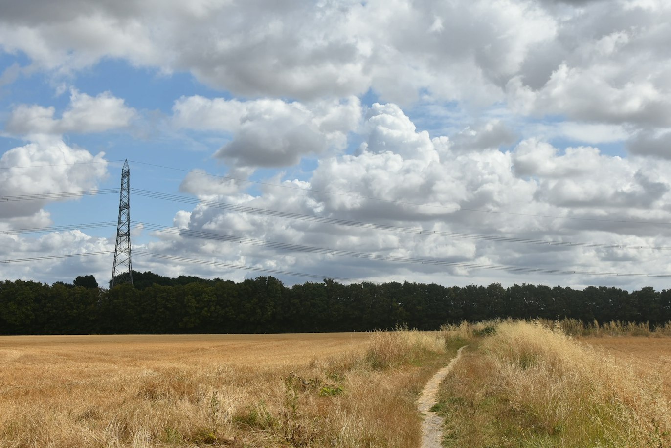 A footpath running through a harvested field towards a tree line, with an electricity pylon and open sky above