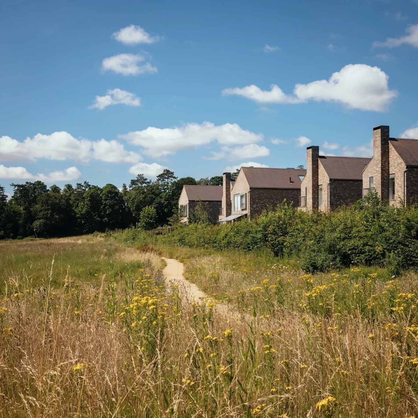 Brick houses with pitched roofs seen beyond a wildflower meadow, with a footpath winding through it towards a tree line