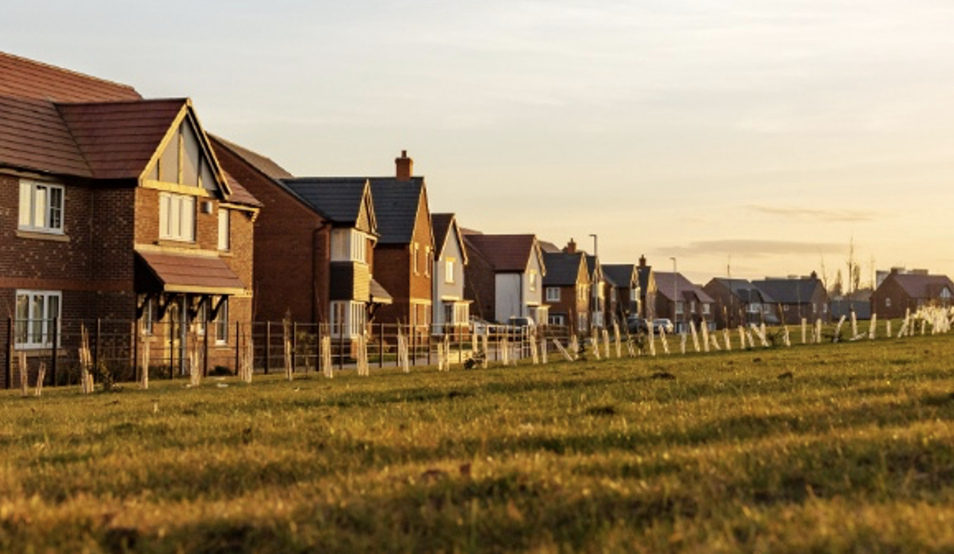 A row of newly built brick houses at sunset, seen across a grass field planted with young saplings