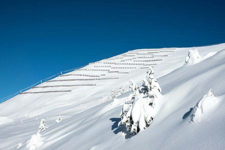 illhorn hiver