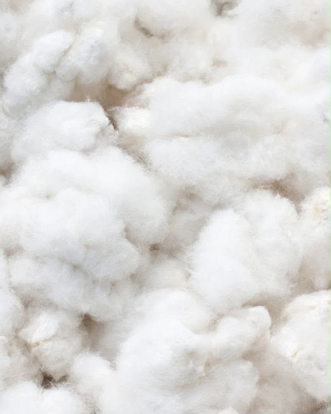 cotton