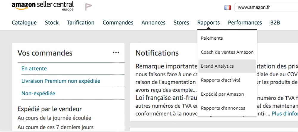 Onglet Brand Analytics dans l'interface Seller