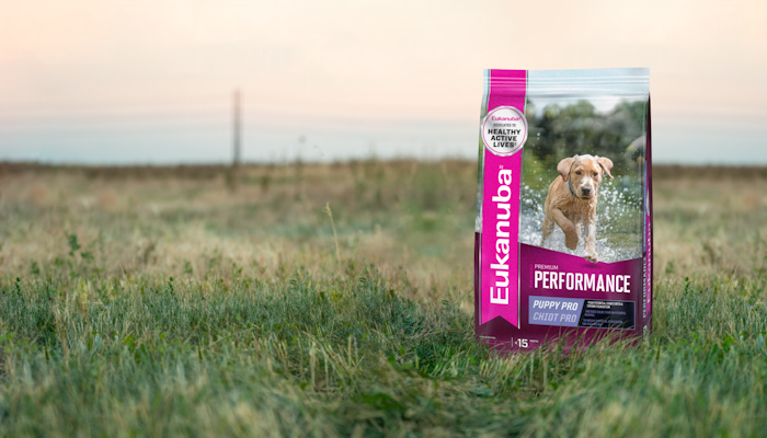 Eukanuba kibble packet