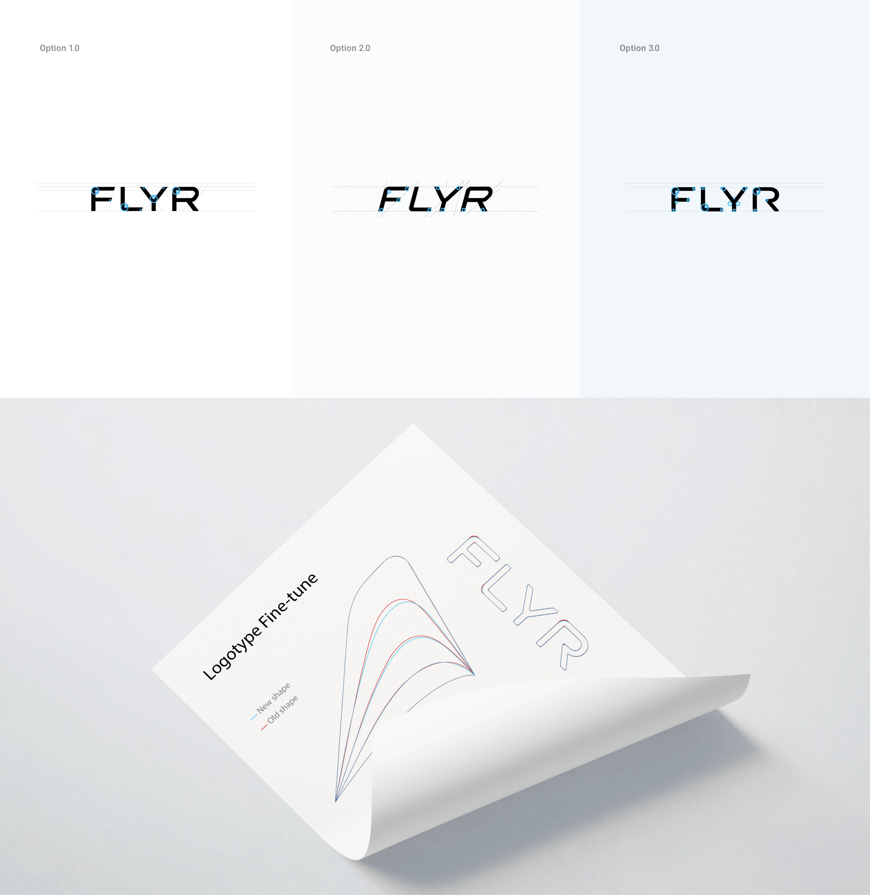 Flyr logo options