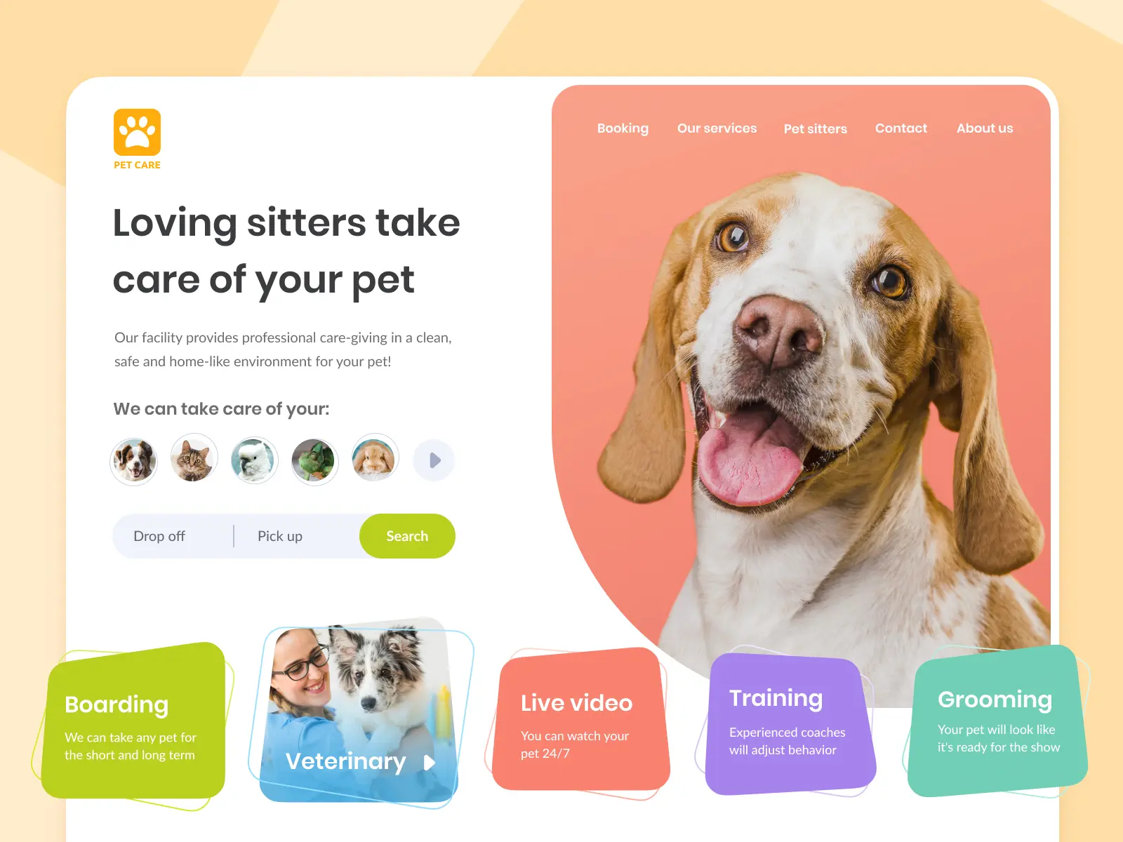 Pet healthcare website design concept