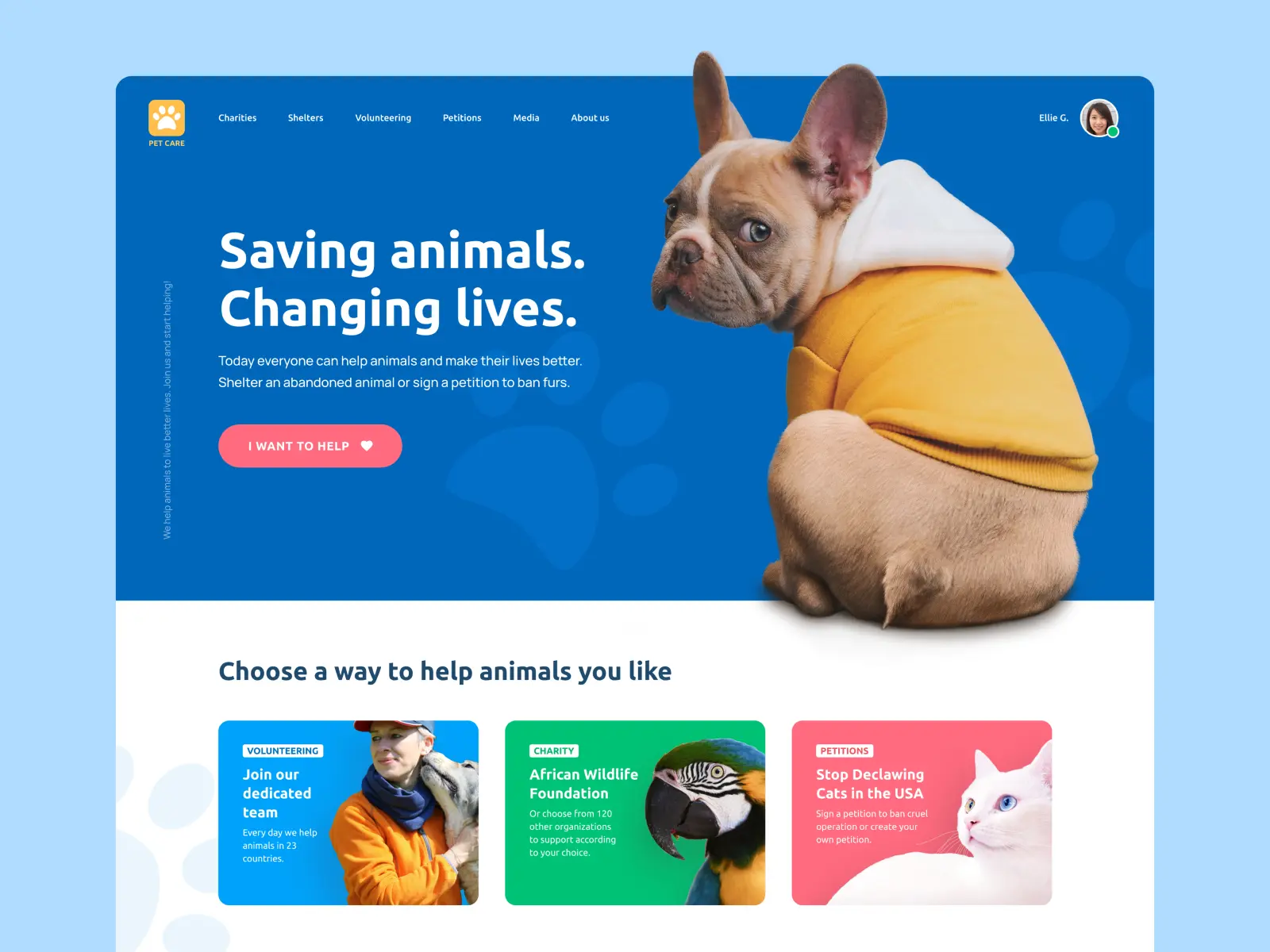 Pet volunteer website design concept