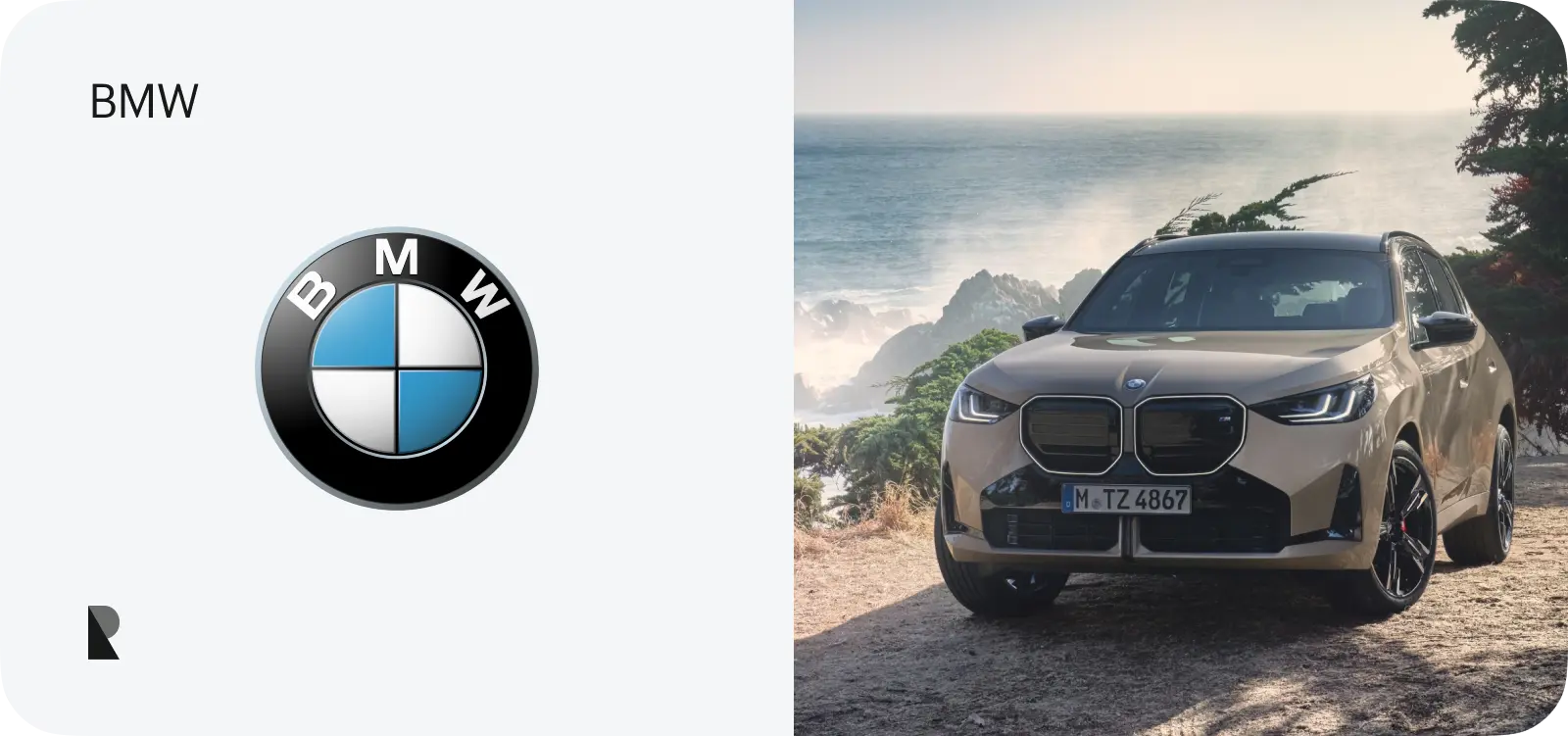 bmw logo use case