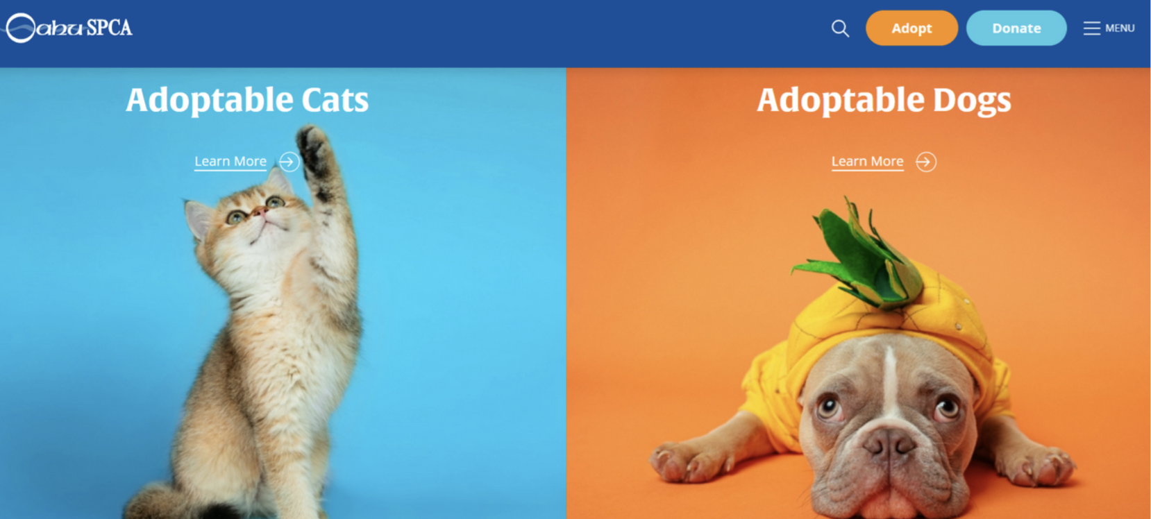 Oahu society non-profit website design