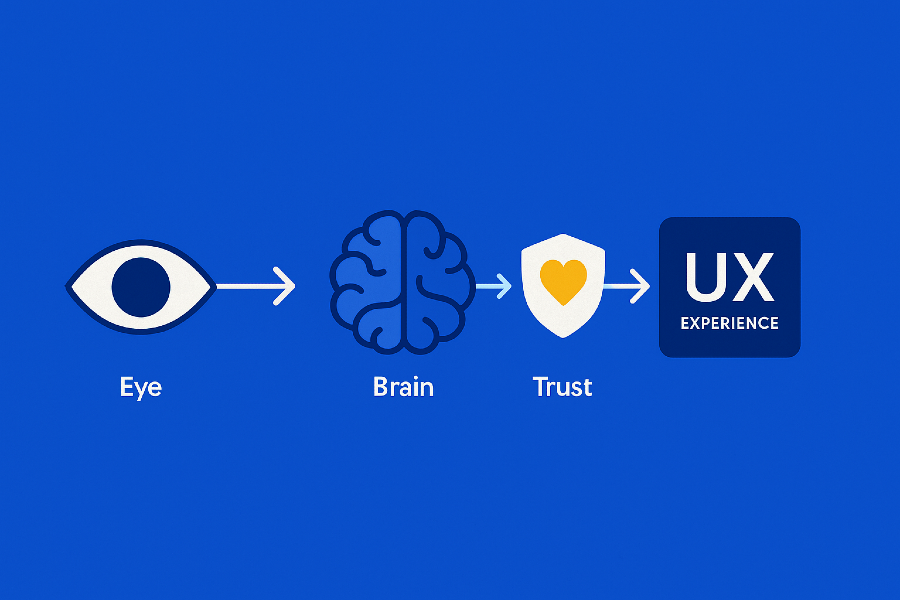 Illustration showing a sequence from visual perception to cognitive processing and trust, ending in user experience, to represent how small interface signals shape trust in UX.