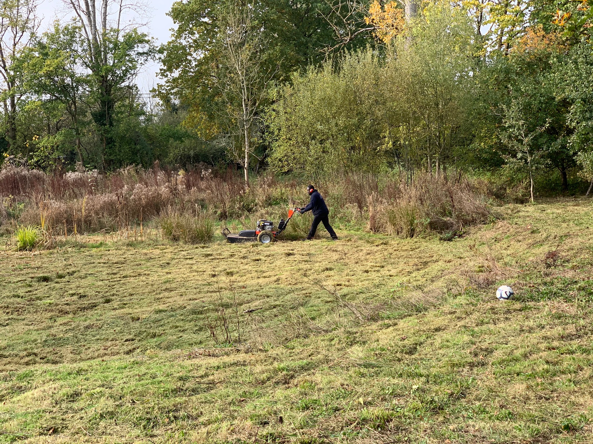 D&R worker clearing grounds