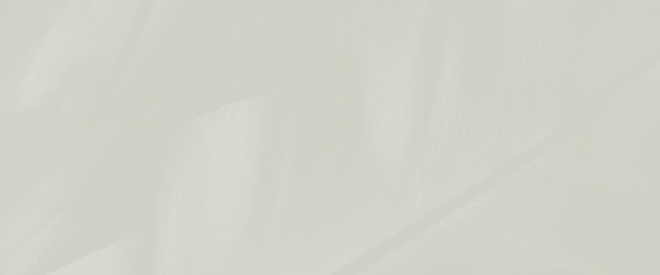 Banner media