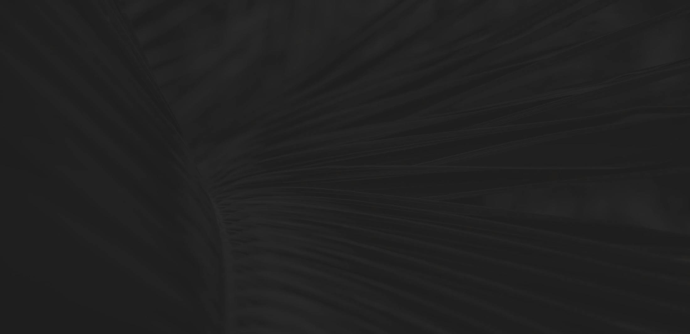 Very darkened image of leaves