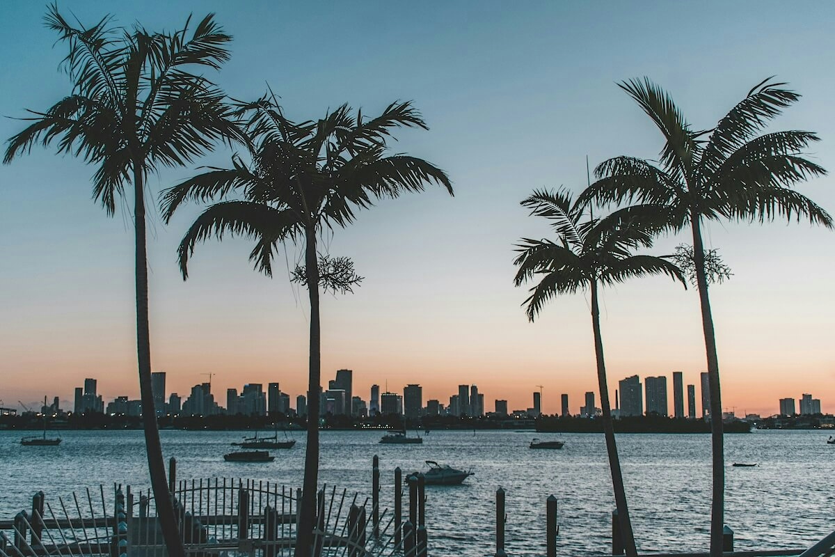 Palm trees along the ocean