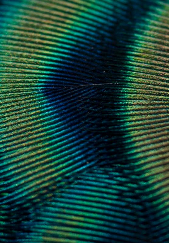 abstract art
