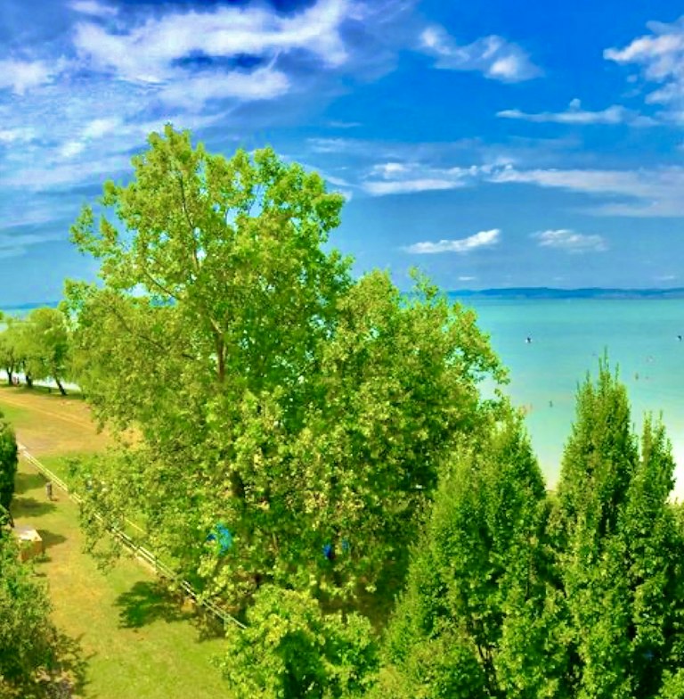 Balaton BJJ Summer Camp in Siófok, Hungary — photo 24 of 82