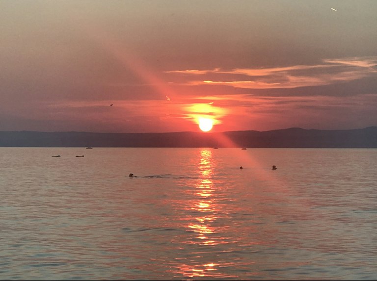 Balaton BJJ Summer Camp in Siófok, Hungary — photo 16 of 82