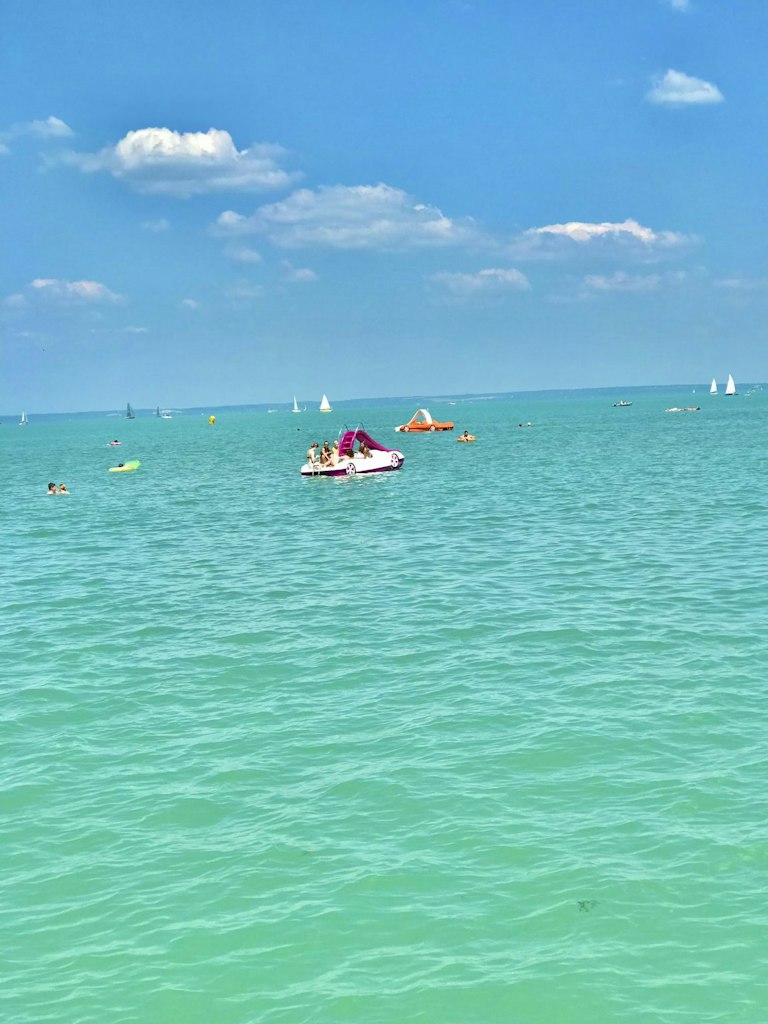 Balaton BJJ Summer Camp in Siófok, Hungary — photo 13 of 82