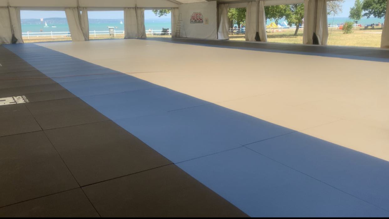 Balaton BJJ Summer Camp in Siófok, Hungary — photo 10 of 82