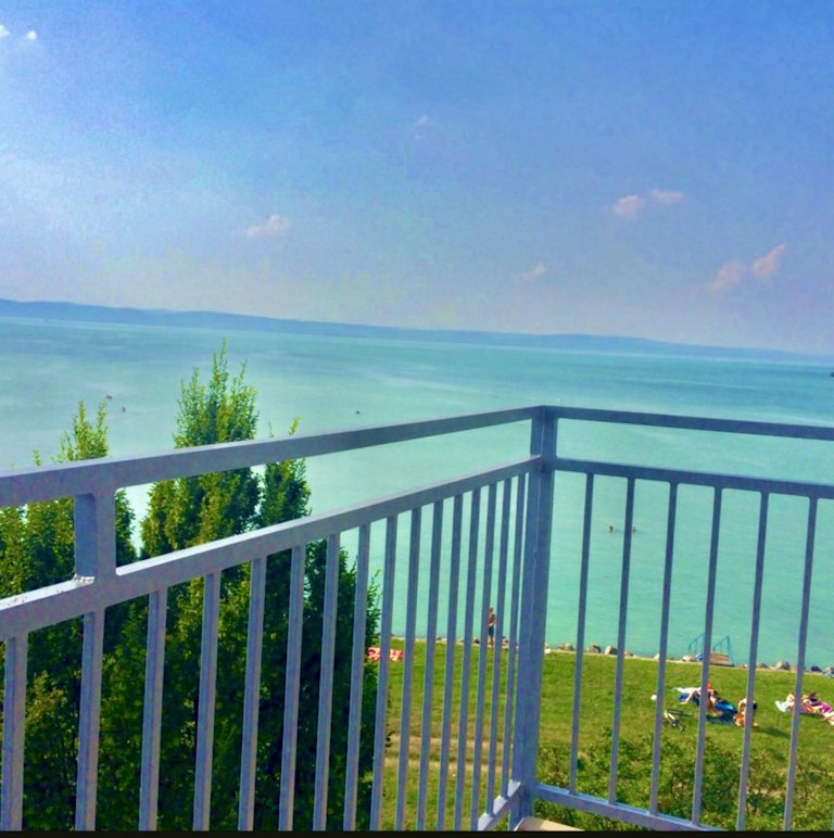 Balaton BJJ Summer Camp in Siófok, Hungary — photo 1 of 82
