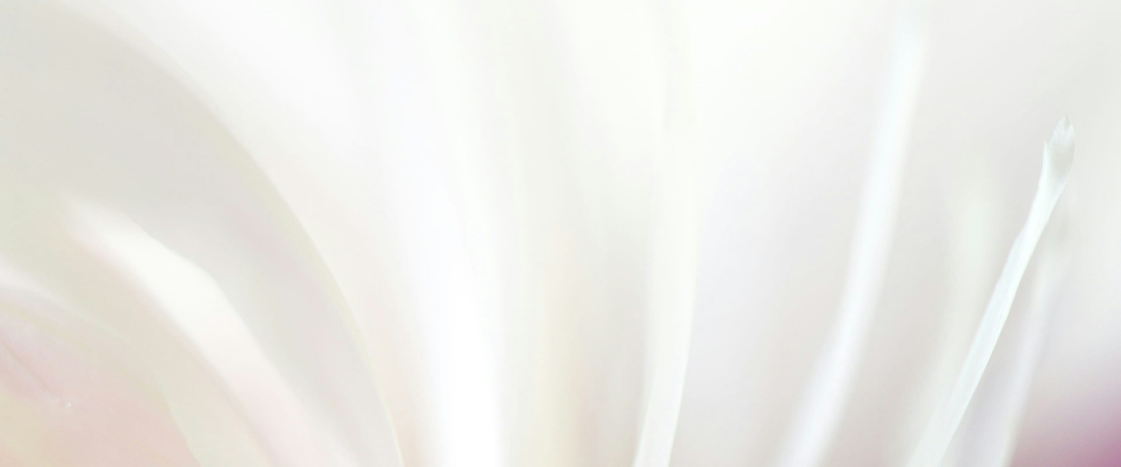 Banner media