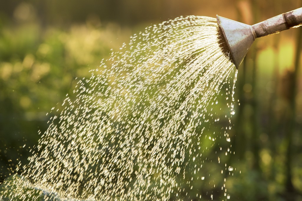 Warum lohnt sich der Einsatz von Regenwassertanks auf Ihrem Grundstück?