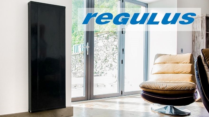 Декоративний настінний радіатор в сучасній вітальні Regulus