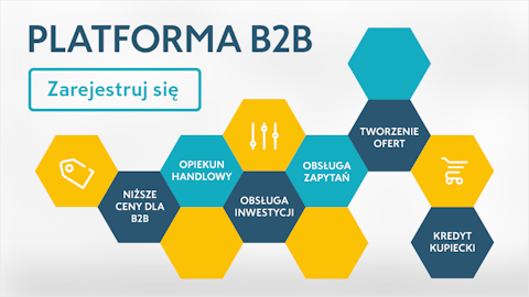 Platforma B2B