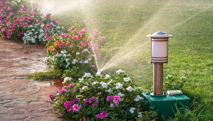 Полив газону