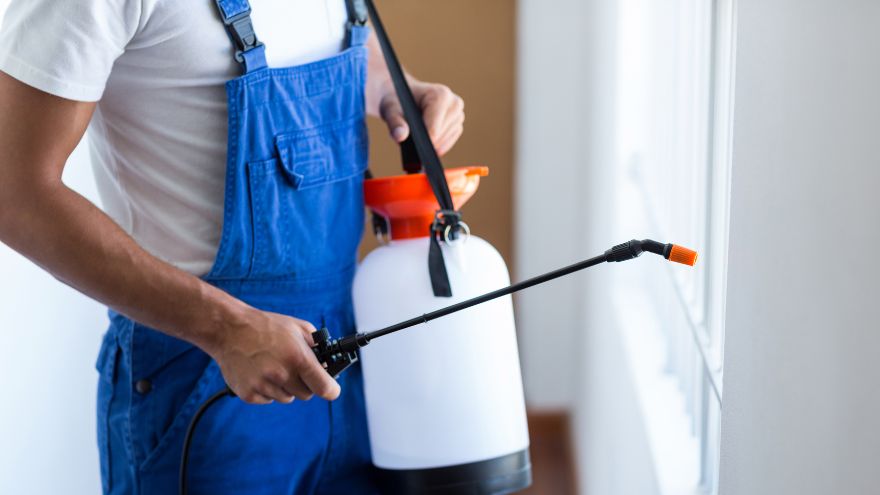 Instalator z opryskiwaczem przy ścianie