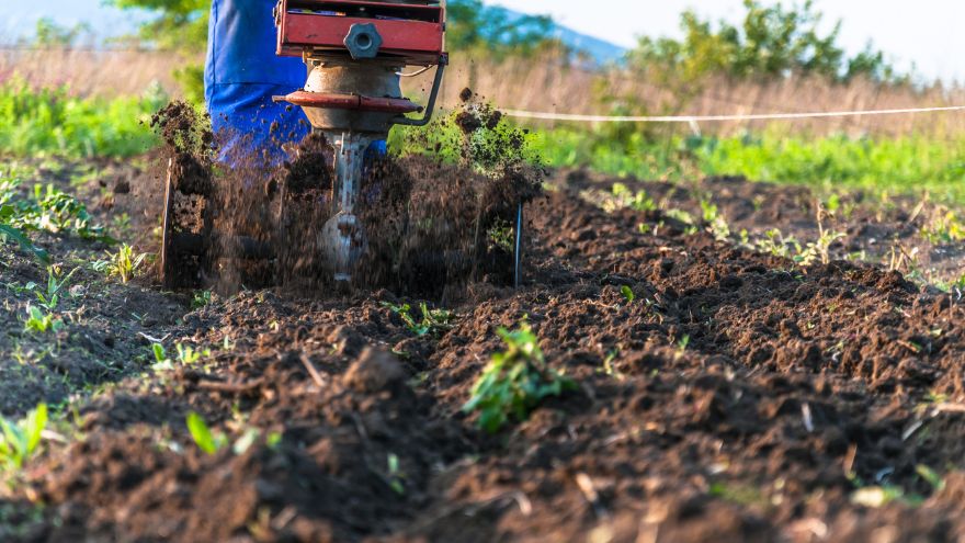 Rolnik na polu z glebogryzarką spalinową przygotowuje ziemię pod siew