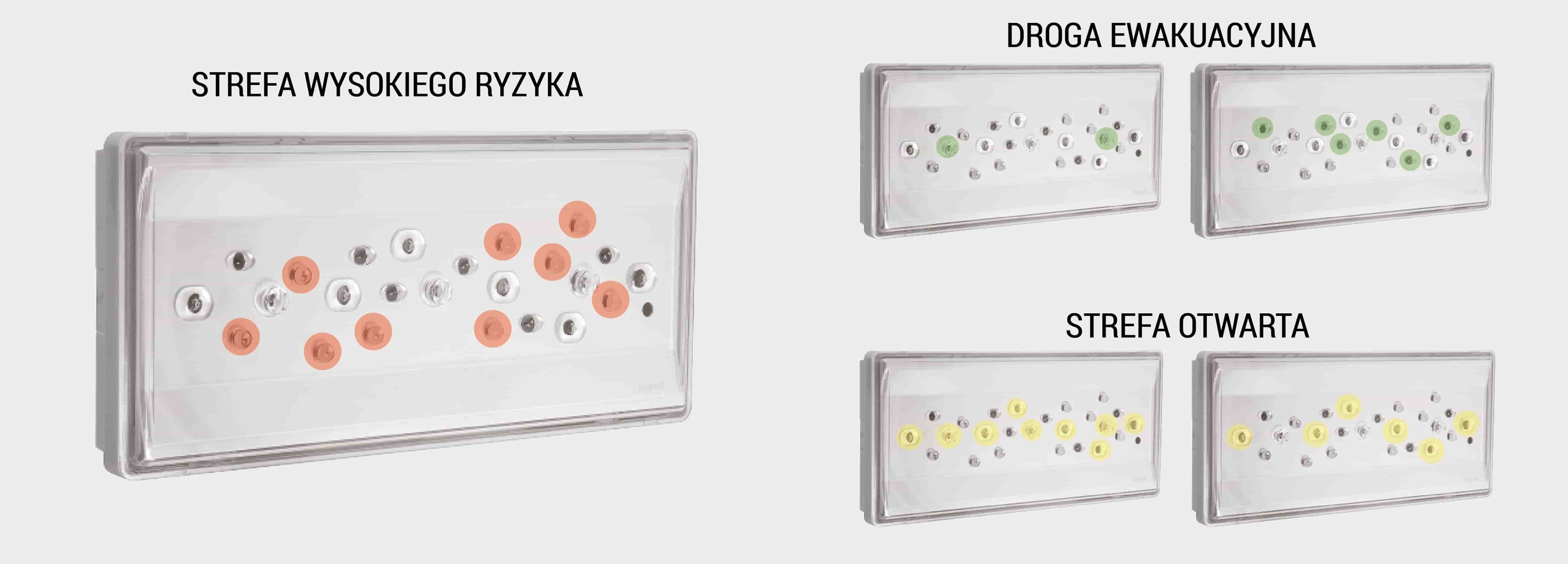 Przekrój i schemat matrycy Beghelli Modula