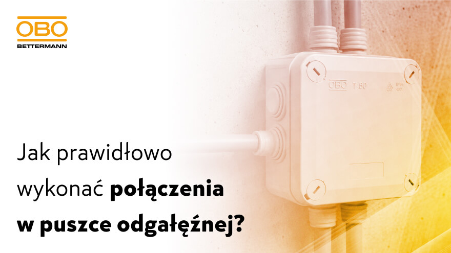 Puszka odgałęźna