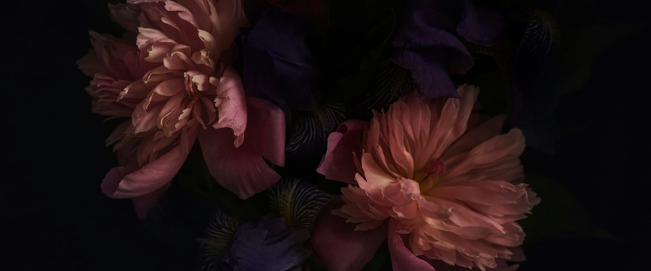 Banner media
