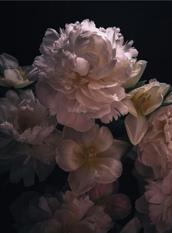 pink flower art