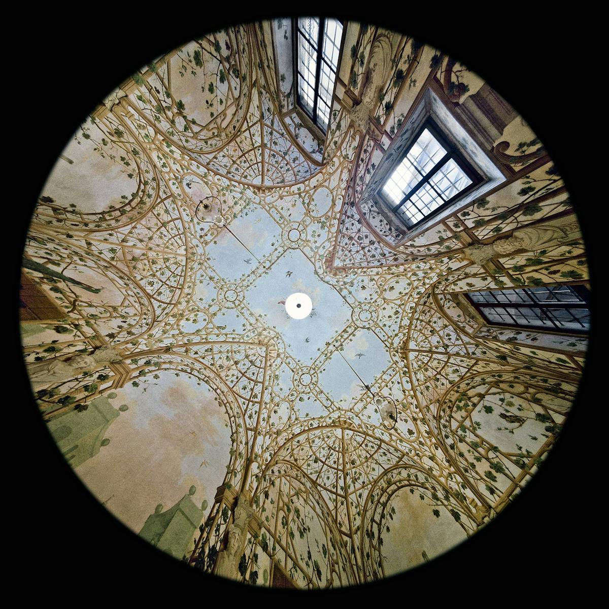 Sala del Giardino d'inverno - Museo di Casa Martelli