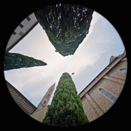 Chiostro verde - Basilica di Santa Maria Novella