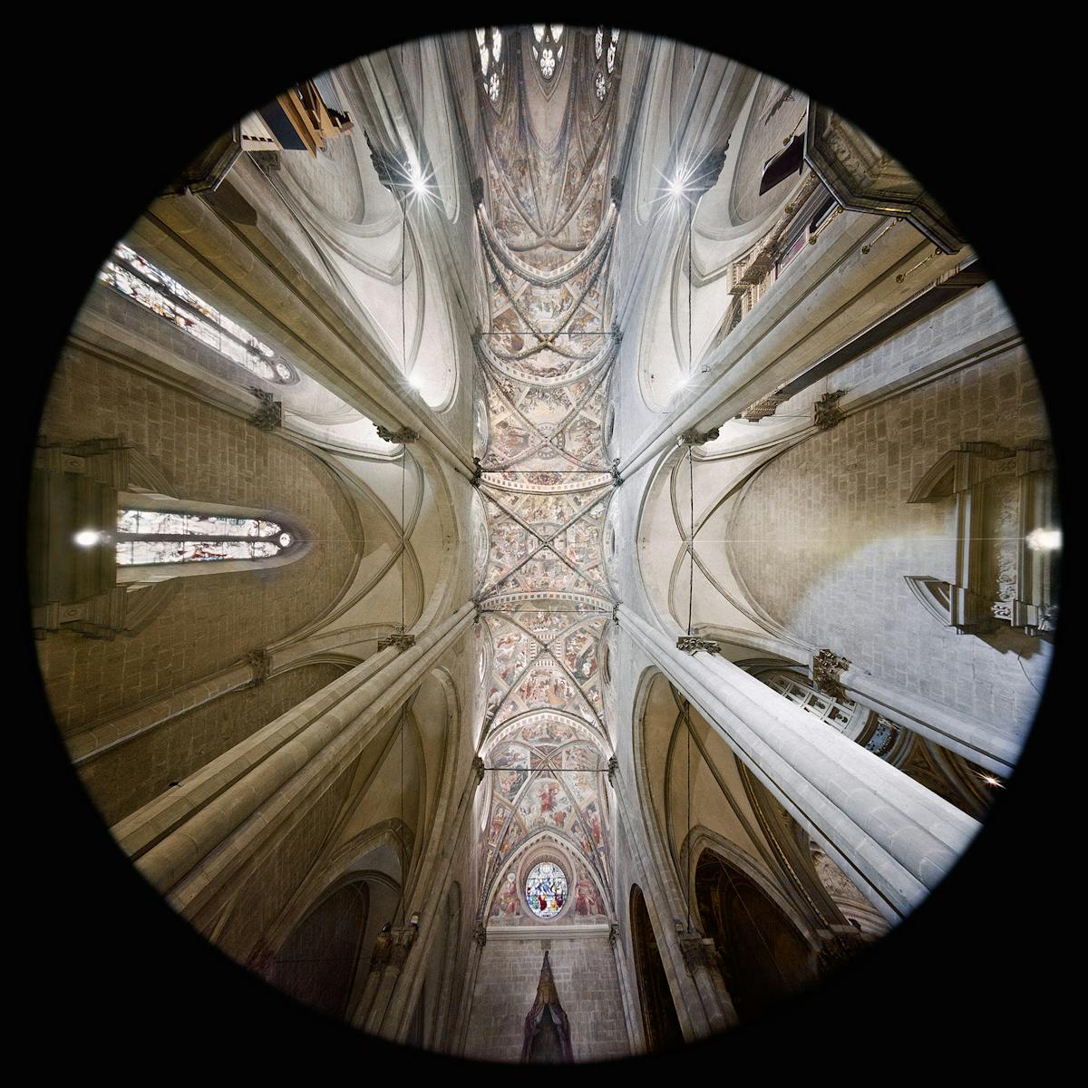 Navata - Cattedrale dei Santi Piero e Donato