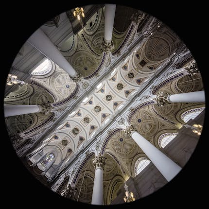 Navata - Basilica di San Pietro